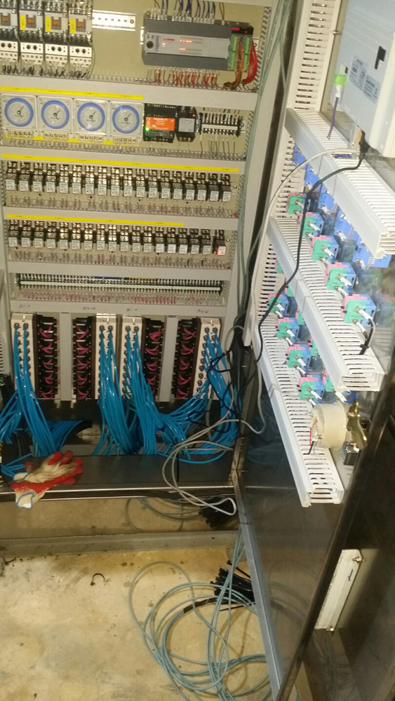 14497348985891.jpg